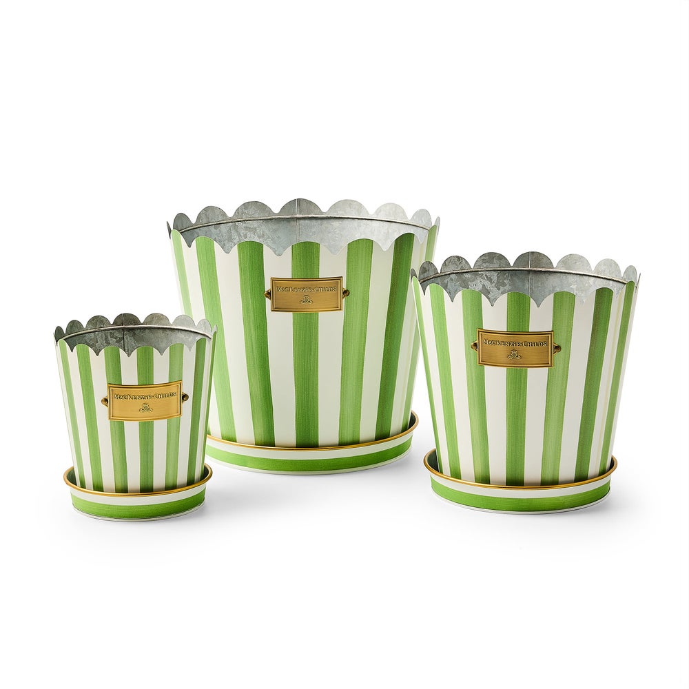 Grass Green Stripe Pots & Saucers - Set of 3