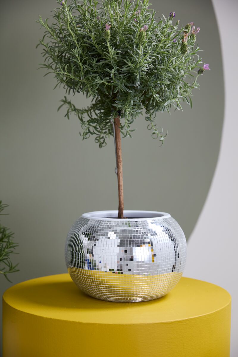 Disco Pot 10" x 6.75"