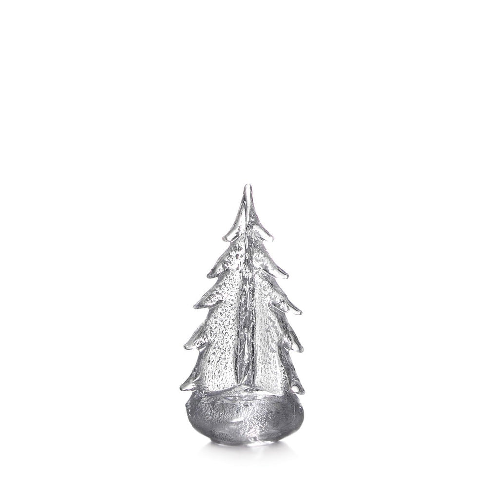 Silver Leaf Evergreen - 10