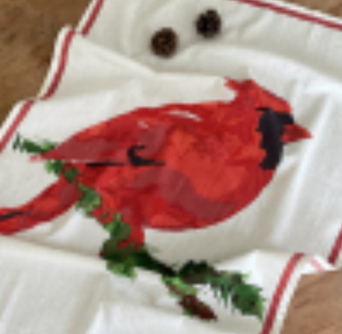 Cardinal Floursack Kitchen Towel S/2