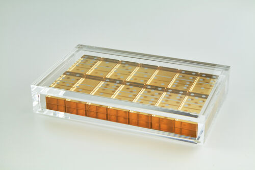 Lucite Domino Set - Gold