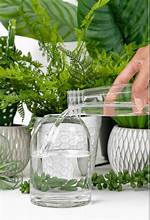 Thomas Blonde - Etched Glass Vessel