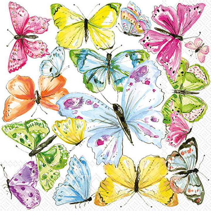 COCKTAIL/MULTI COLOR BUTTERFLIES