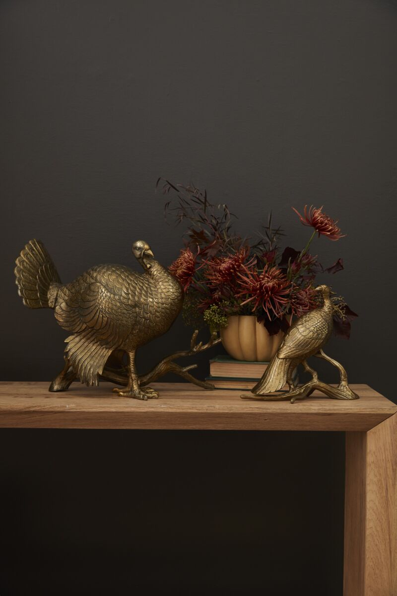 Merriam Turkey 21.25"x 12" 16"