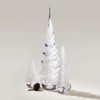 Snowdrift Evergreen in Gift Box - 14"