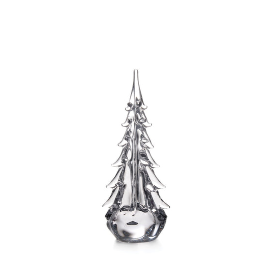 Five-Sided Evergreen - 14"