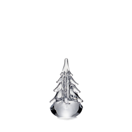 Five Sided Evergreen - 6"