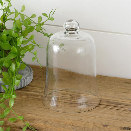 Glass Cloche, Sm