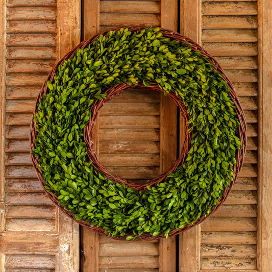 Boxwood Wreath - Preserved