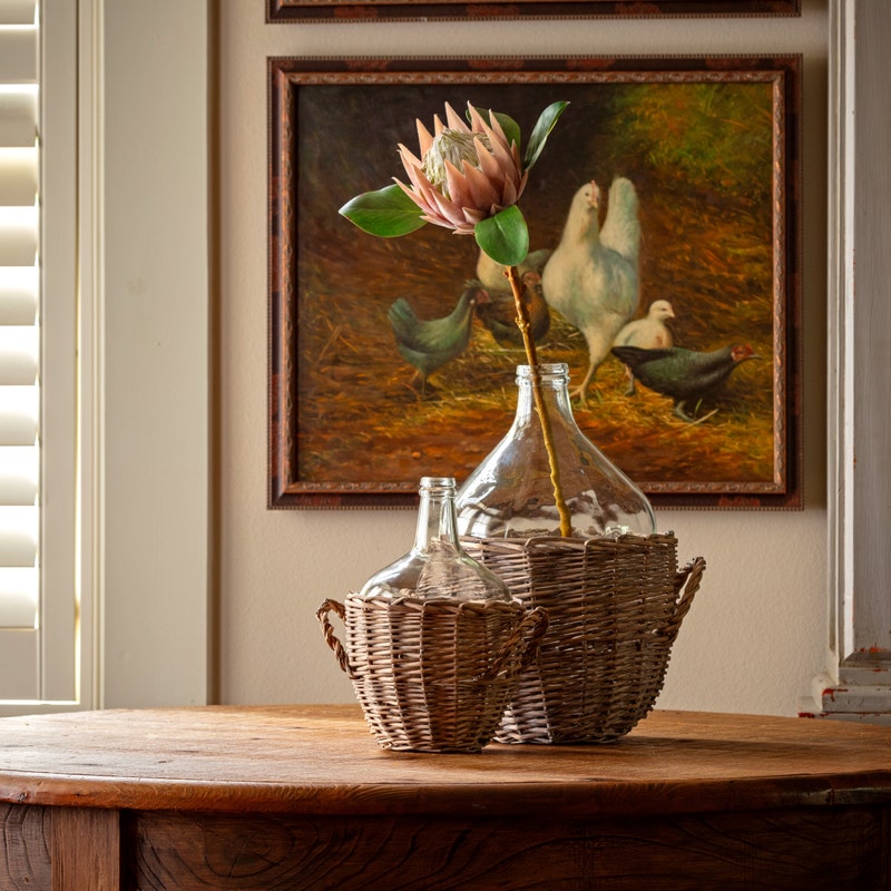 Protea Large Blush