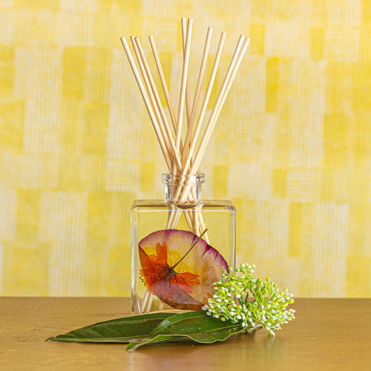 Accent Diffuser - Sugared Citrus