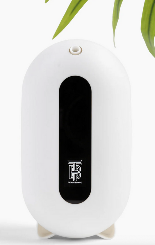 Thomas Blonde Wall Diffuser Blondie On The Go