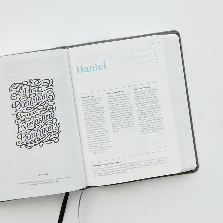 He Reads Truth Bible, Smoke Leathertouch