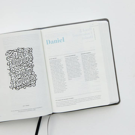 He Reads Truth Bible, Smoke Leathertouch