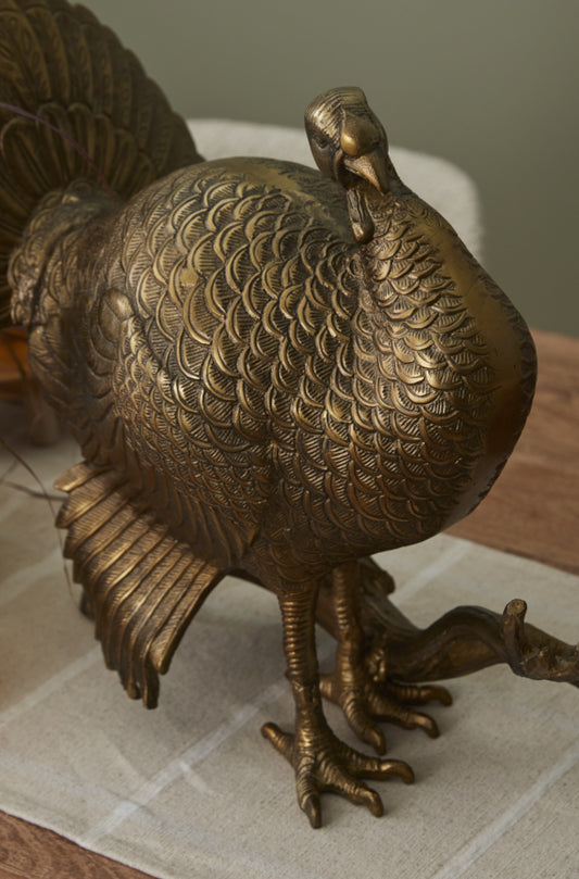 Merriam Turkey 21.25"x 12" 16"
