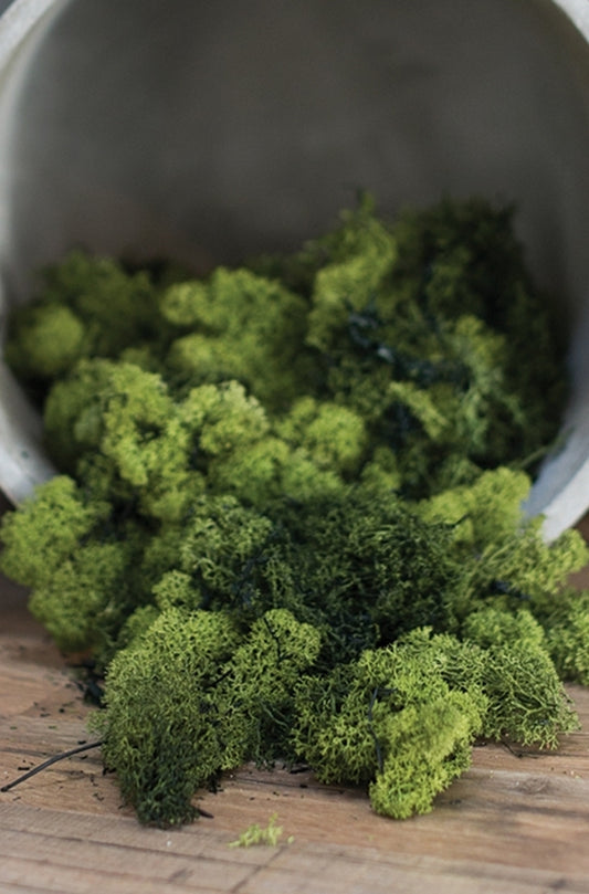 Reindeer Moss 1.1lbs. Natural