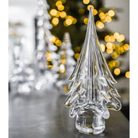 Spruce Evergreen - 6"
