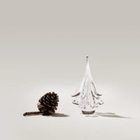 Spruce Evergreen in Gift Box - 10"